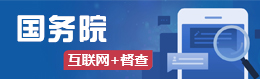 國務院互聯網+督查